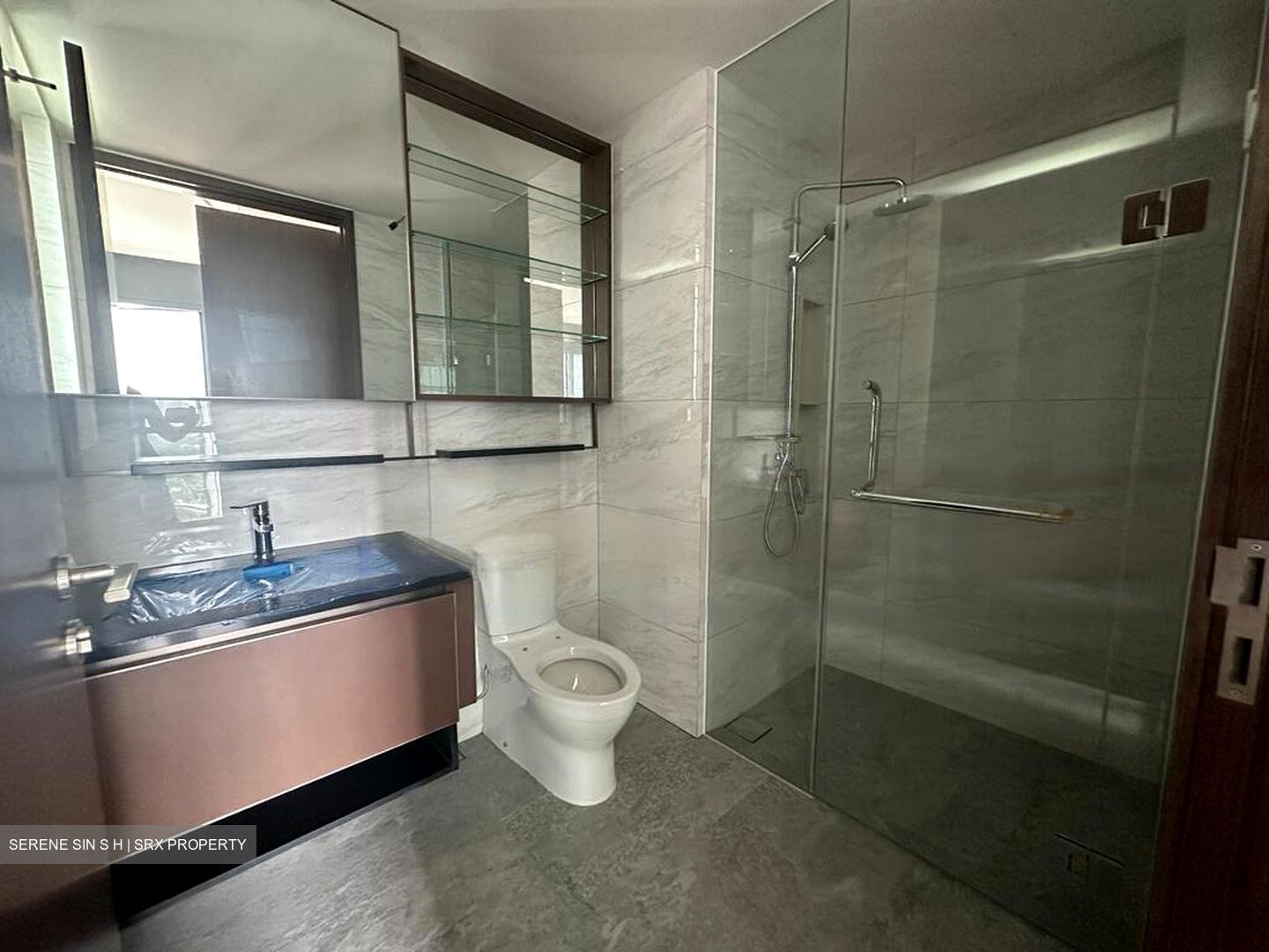 Normanton Park (D5), Apartment #480415651